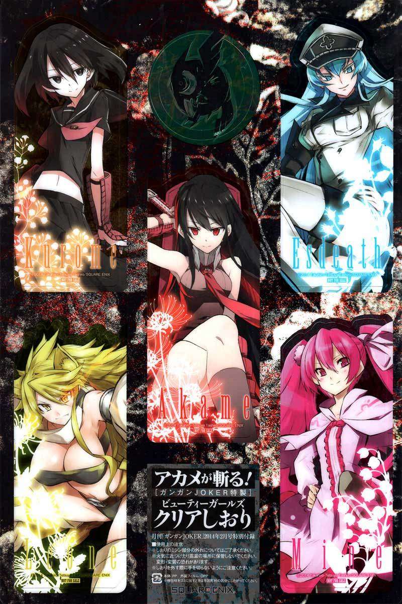 Baca Manga Akame ga Kill! Chapter 47 Gambar 2