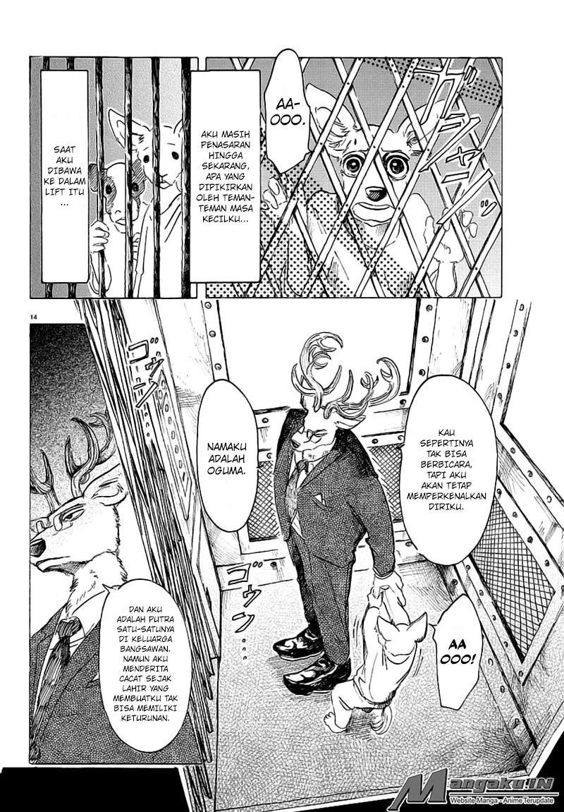 Beastars Chapter 33 Gambar 16