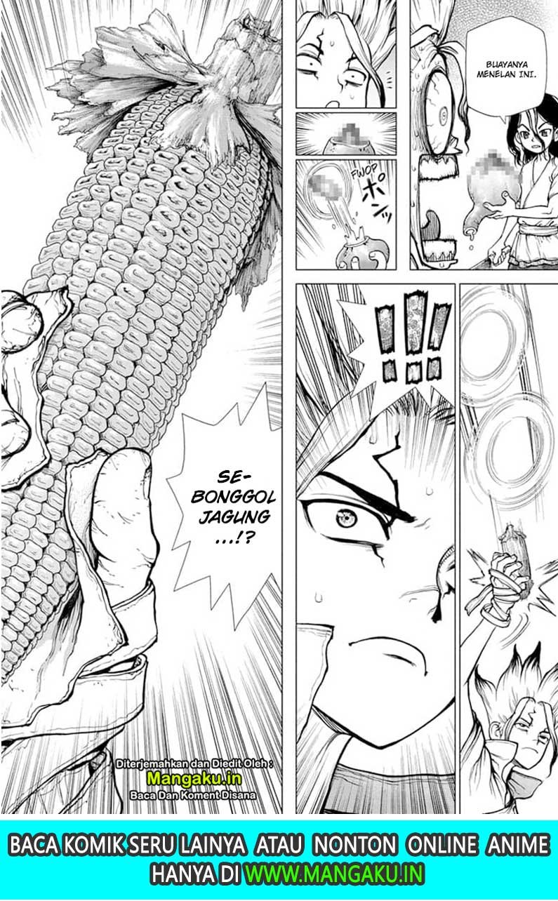 Dr. Stone Chapter 148 Gambar 19