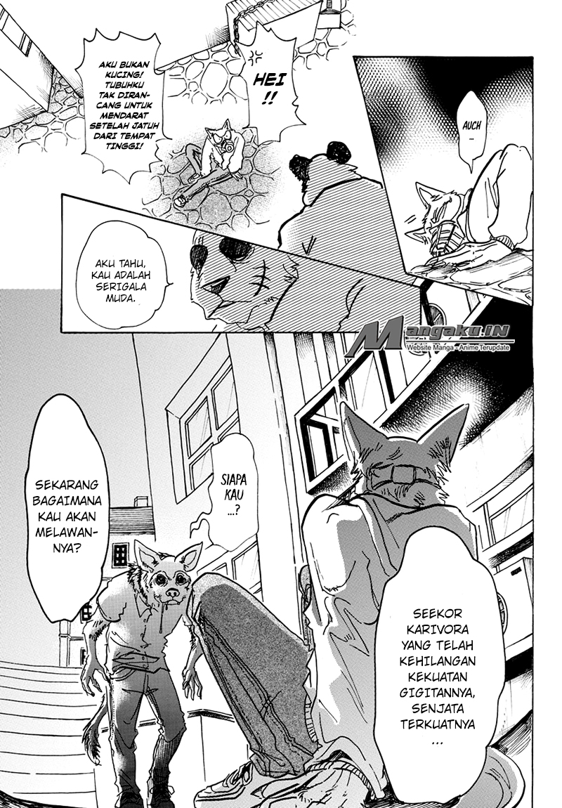 Beastars Chapter 68 Gambar 14