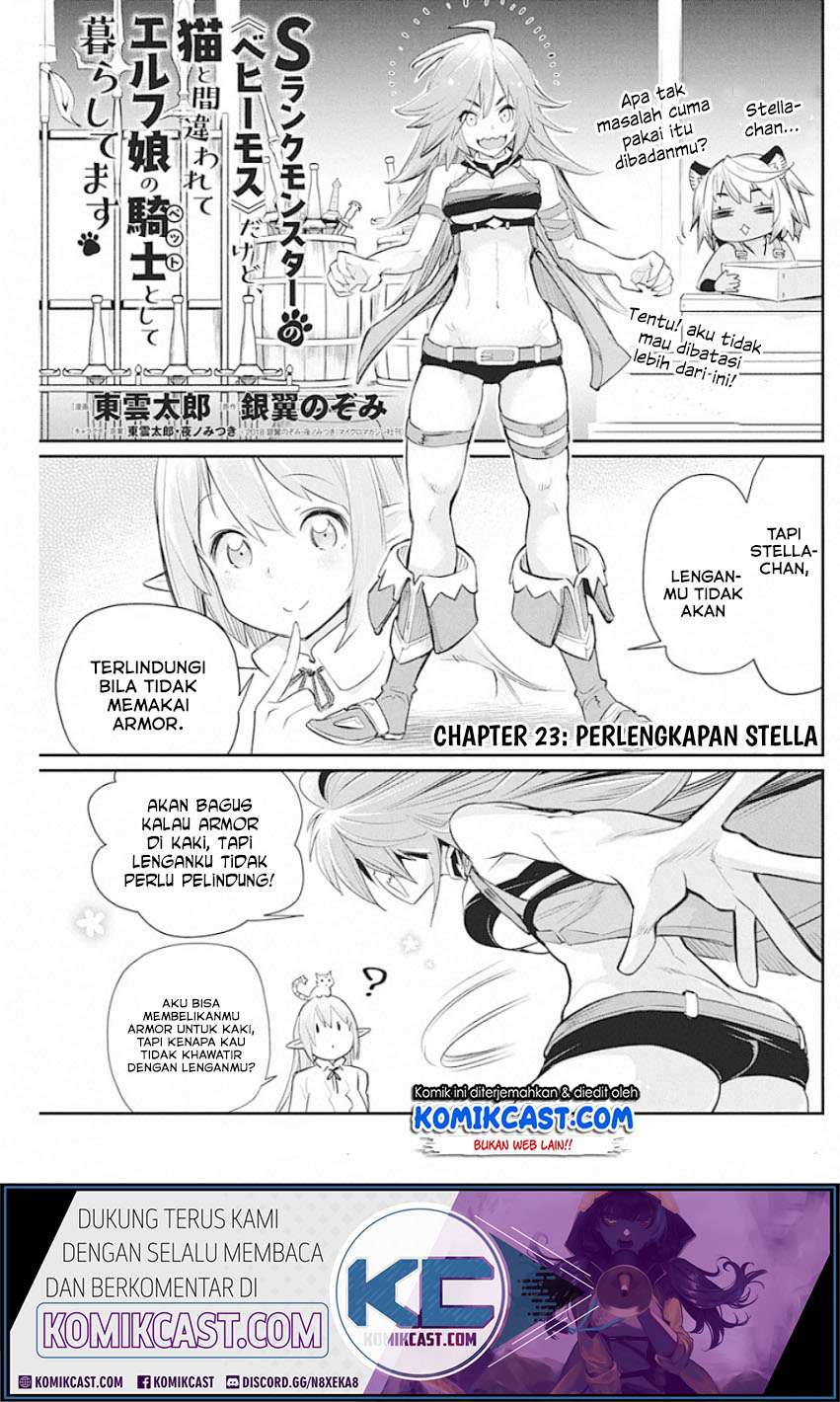 Baca Manga S-Rank Monster no Behemoth Dakedo, Neko to Machigawarete Erufu Musume no Kishi (Pet) Toshite Kurashitemasu Chapter 23 Gambar 2