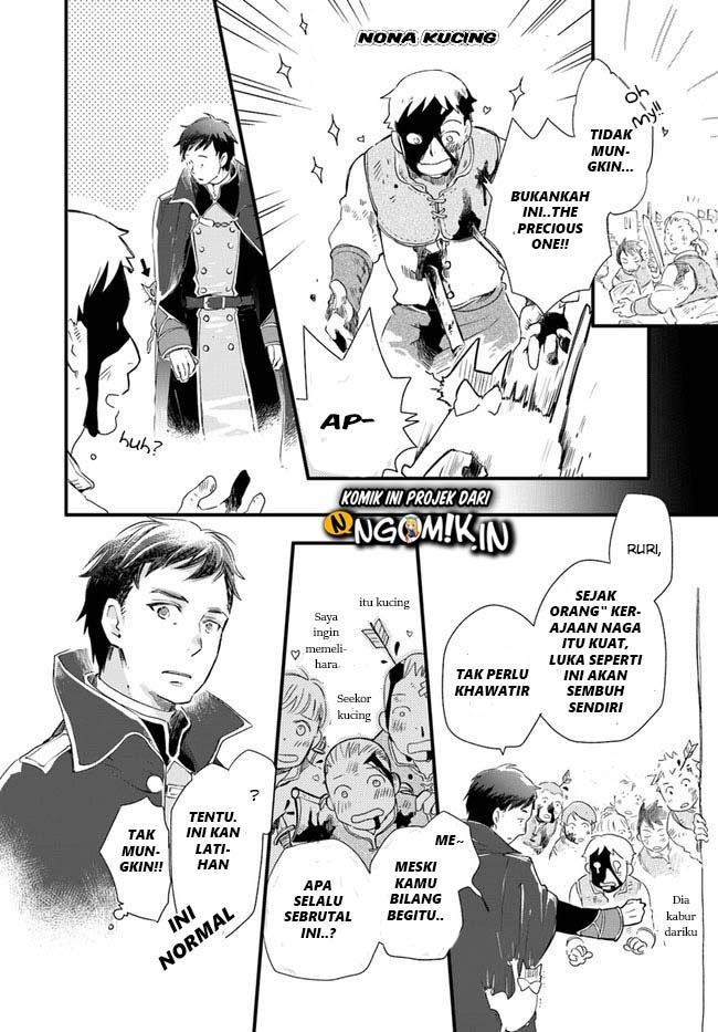 The Vengeful White Cat Lounging on the Dragon King’s Lap Chapter 14 Gambar 27