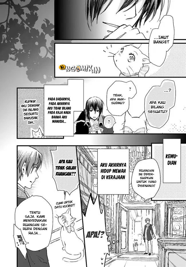 The Vengeful White Cat Lounging on the Dragon King’s Lap Chapter 8 Gambar 12