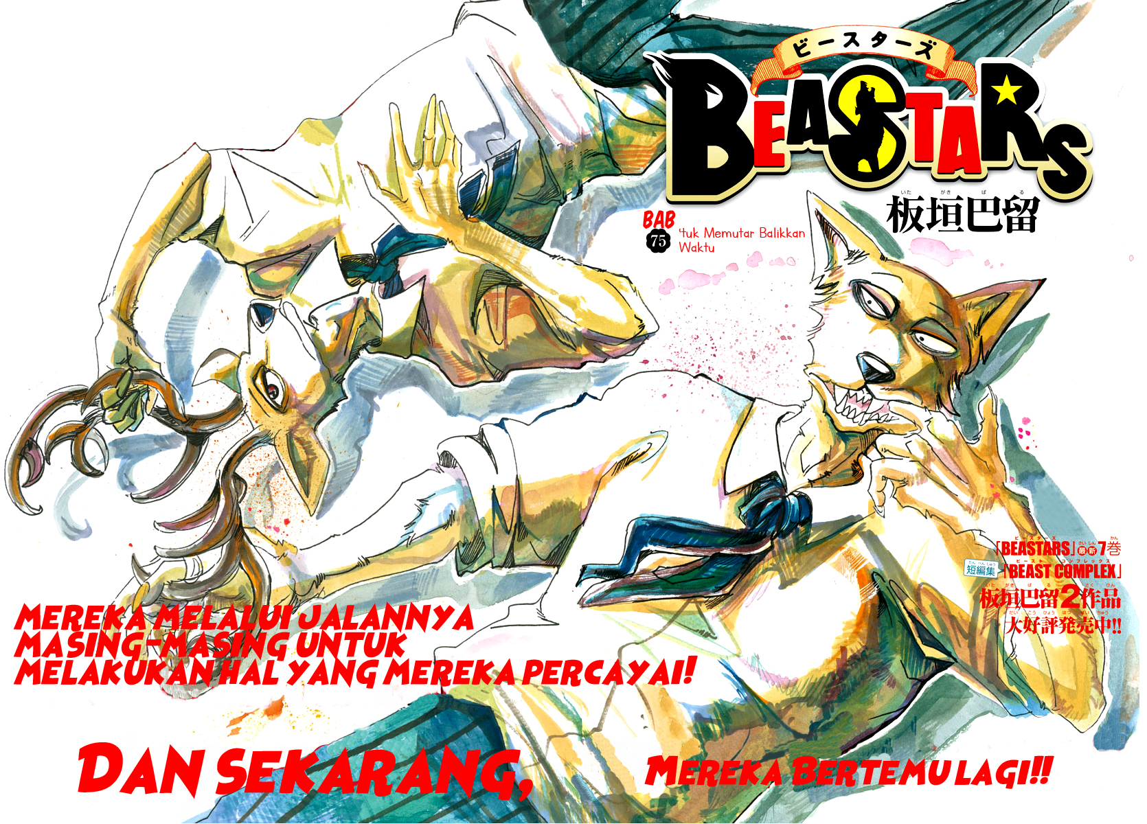Baca Manga Beastars Chapter 75 Gambar 2