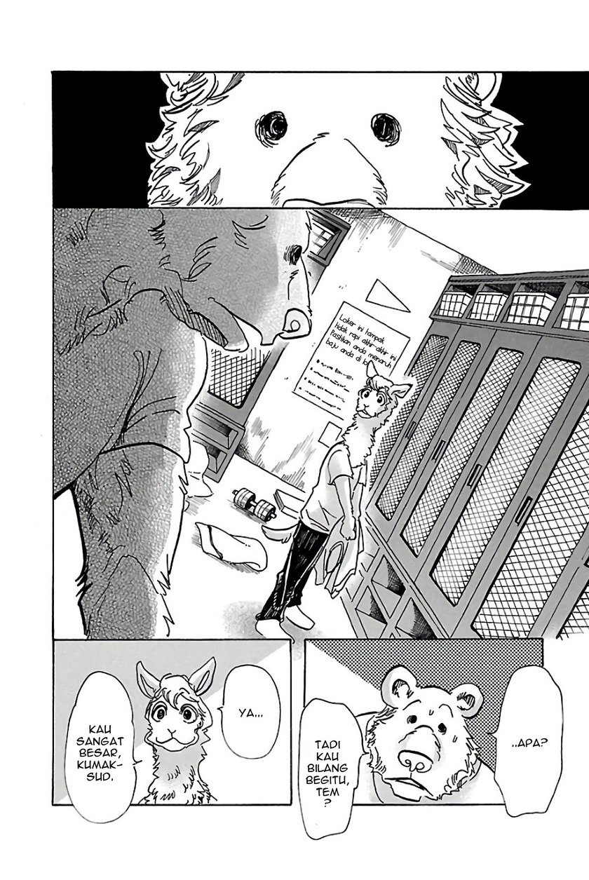 Beastars Chapter 77 Gambar 8