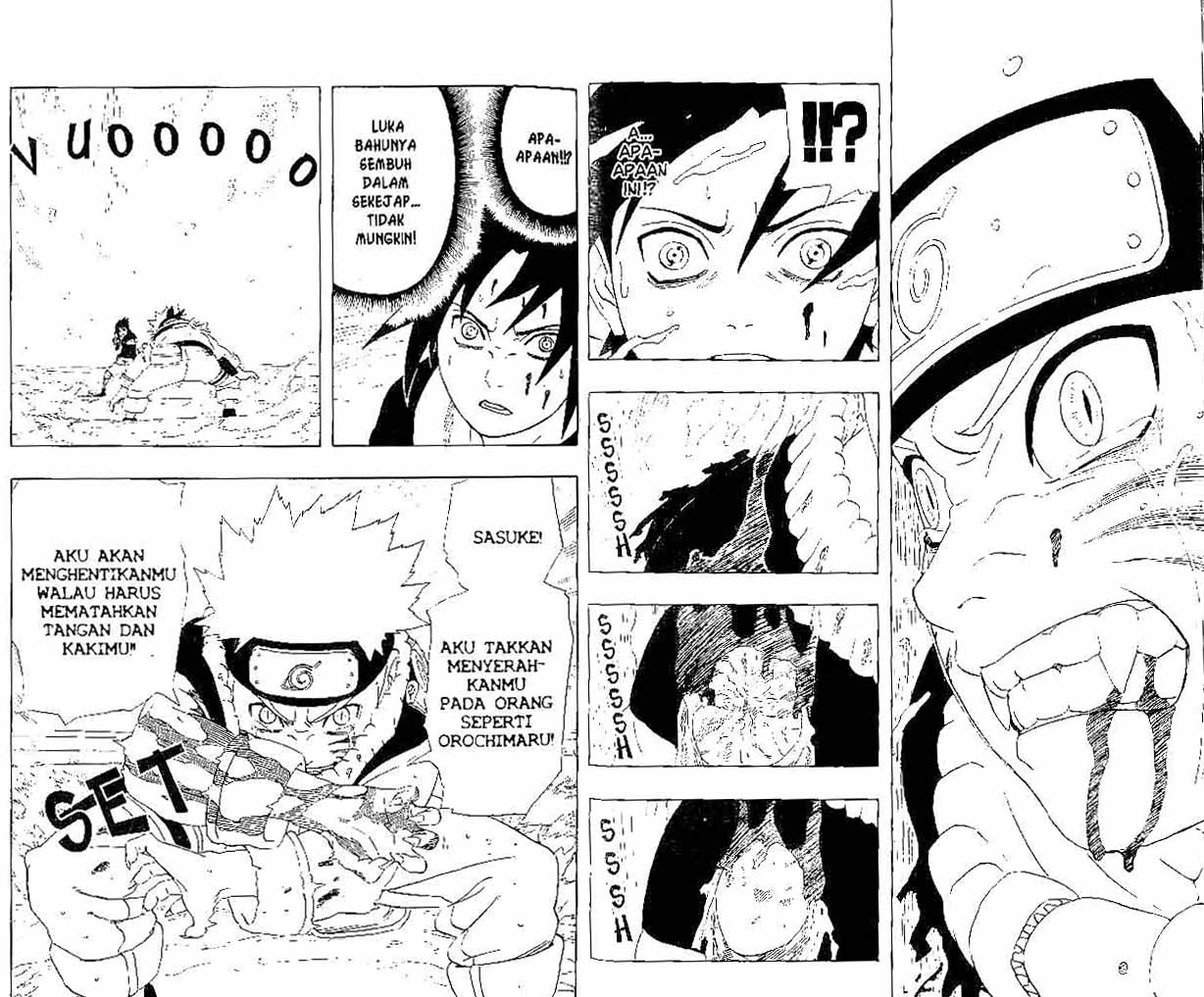 Naruto Chapter 228 Gambar 10
