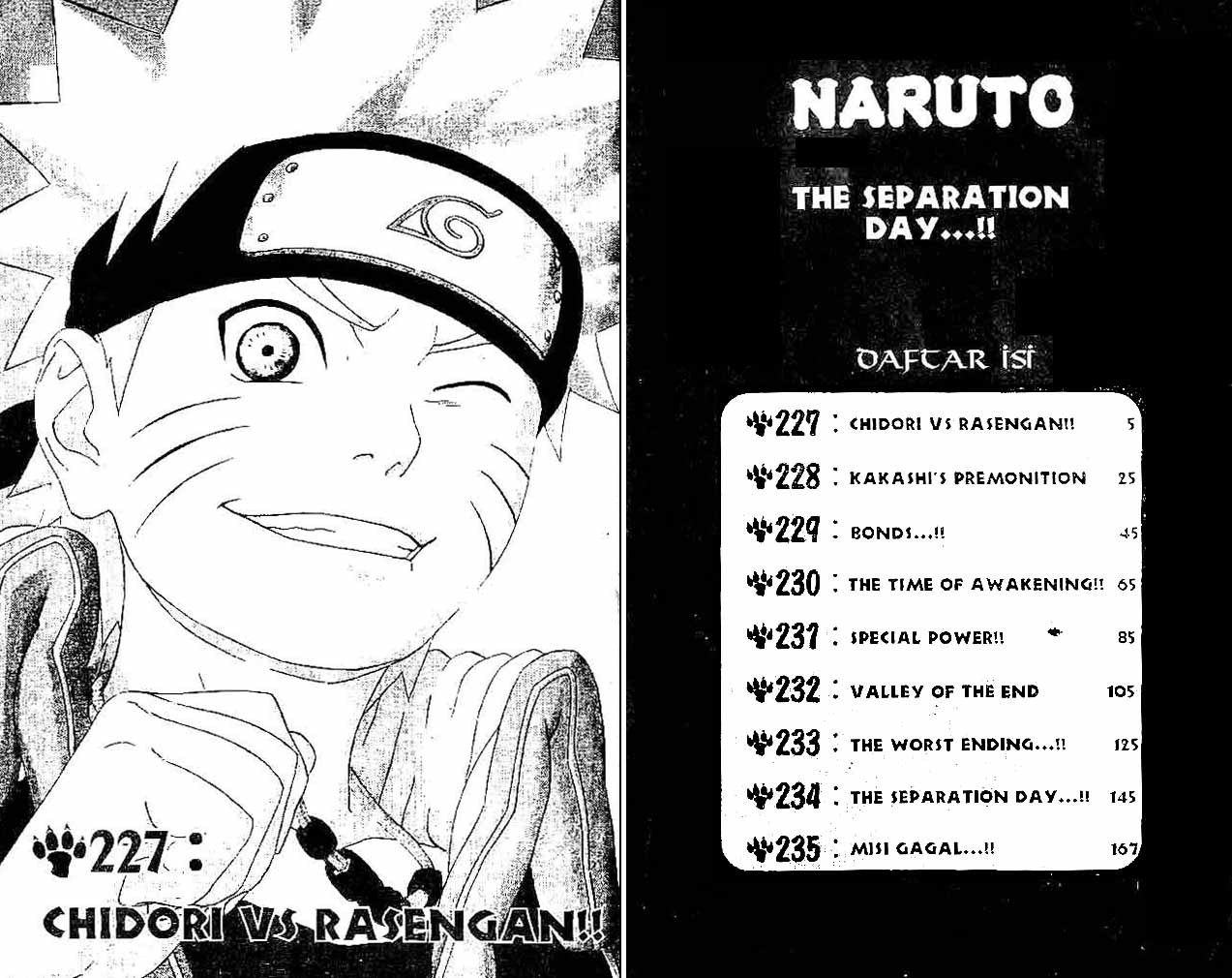 Naruto Chapter 227 Gambar 3