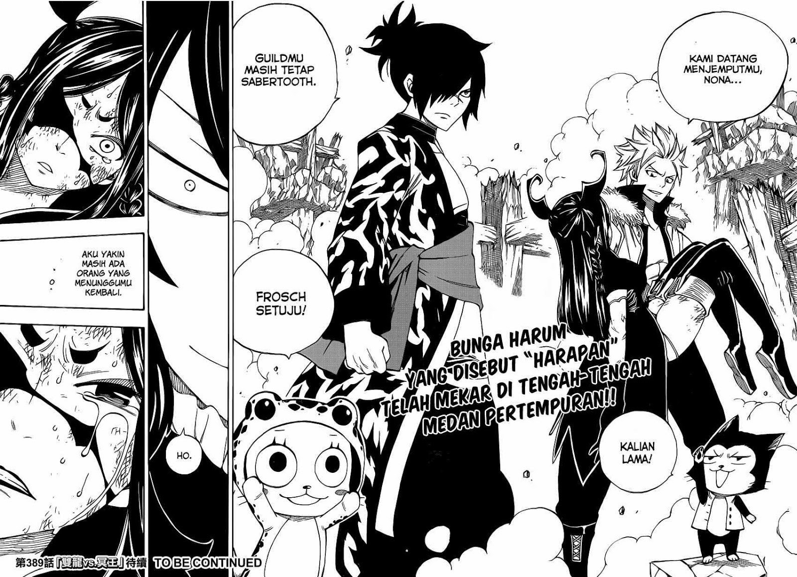 Fairy Tail Chapter 388 Gambar 19