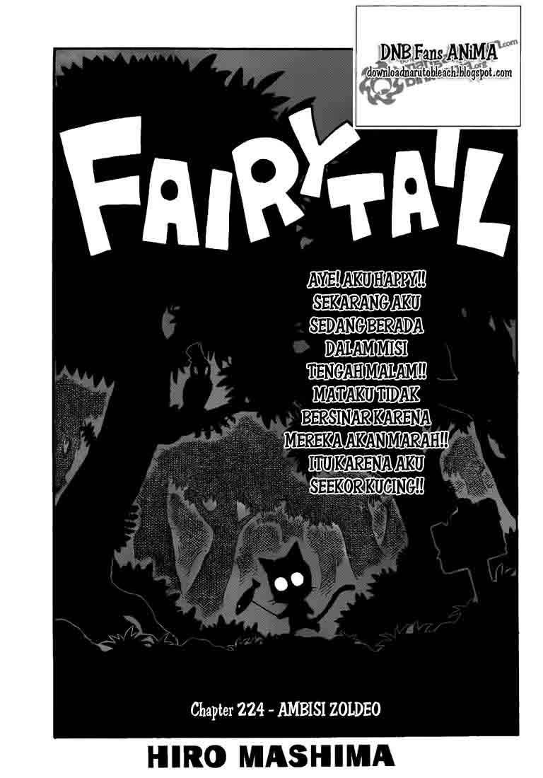 Baca Komik Fairy Tail Chapter 224 Gambar 1