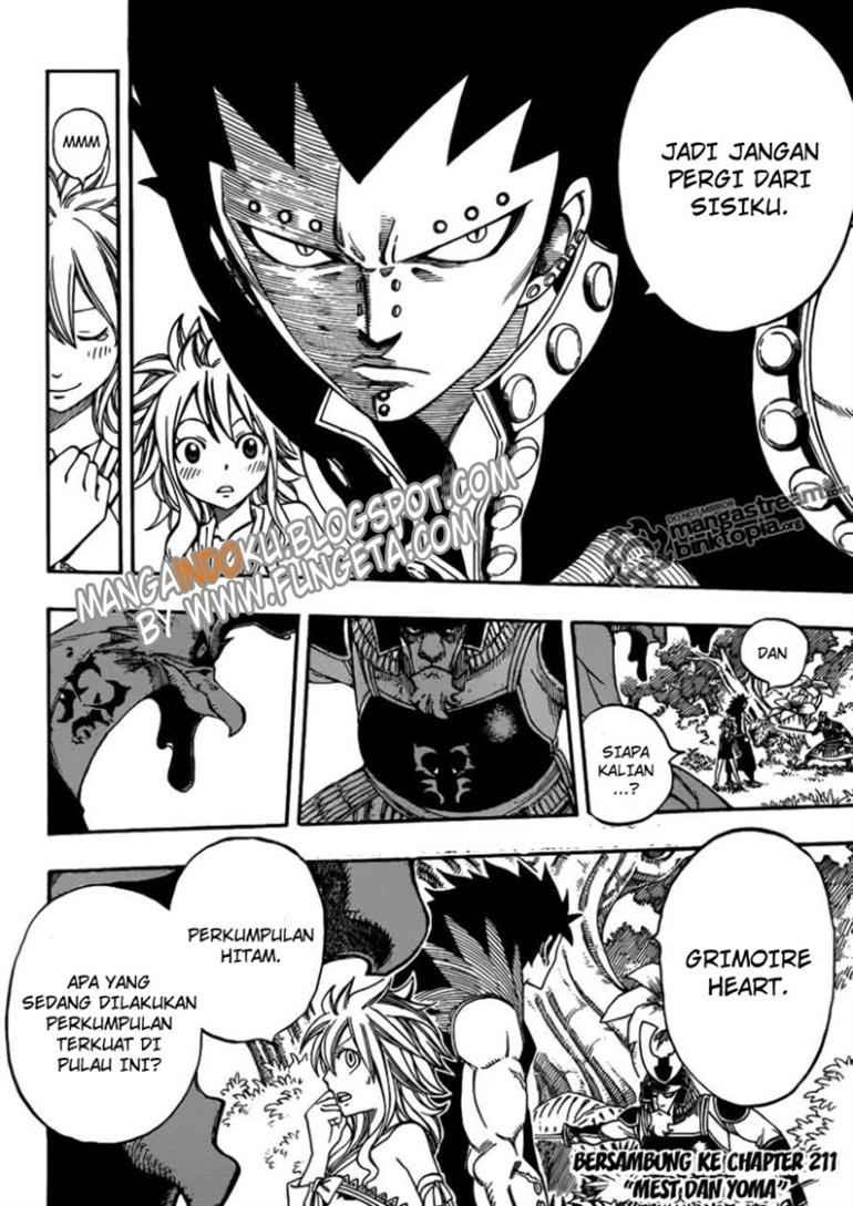 Fairy Tail Chapter 210 Gambar 19