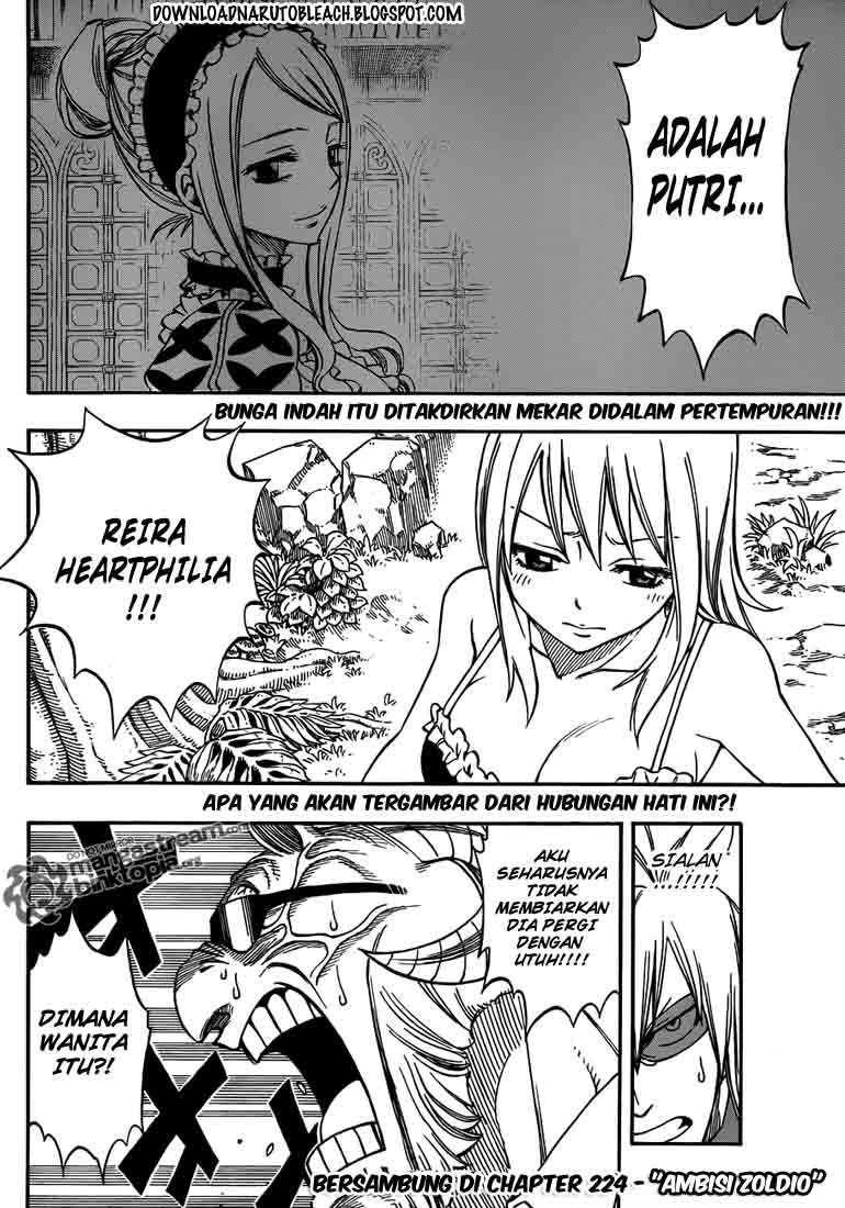 Fairy Tail Chapter 223 Gambar 20