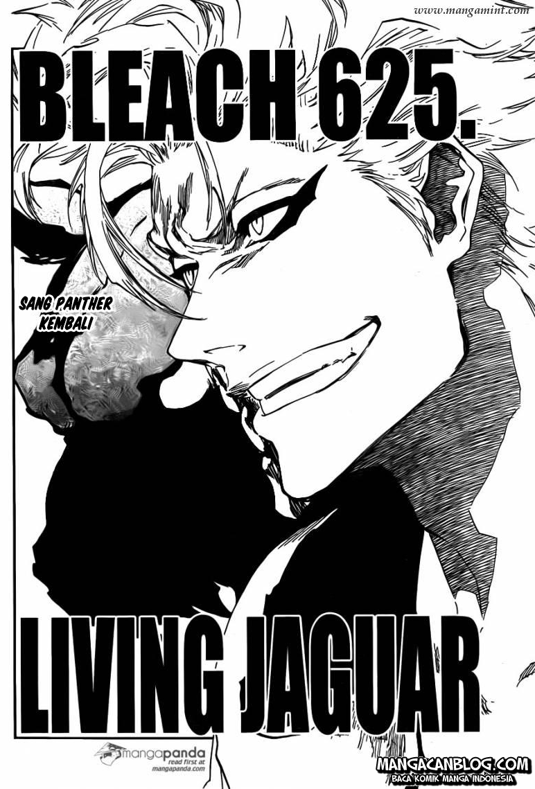 Baca Manga Bleach Chapter 625 Gambar 2