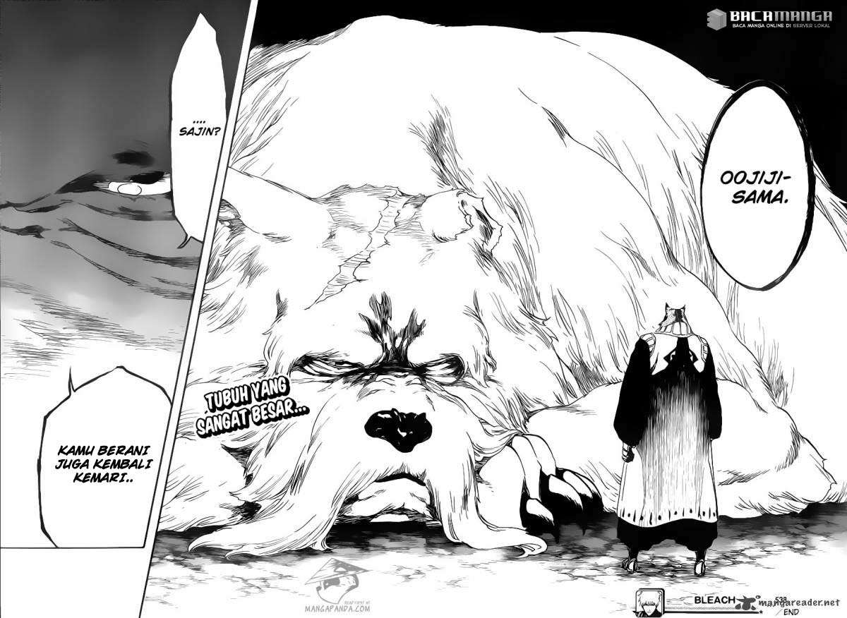 Bleach Chapter 538 Gambar 19