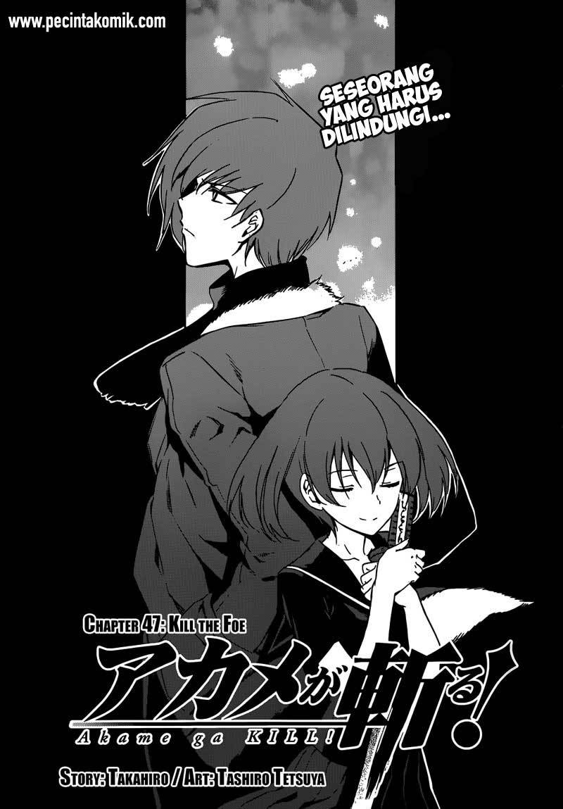 Akame ga Kill! Chapter 48 Gambar 4