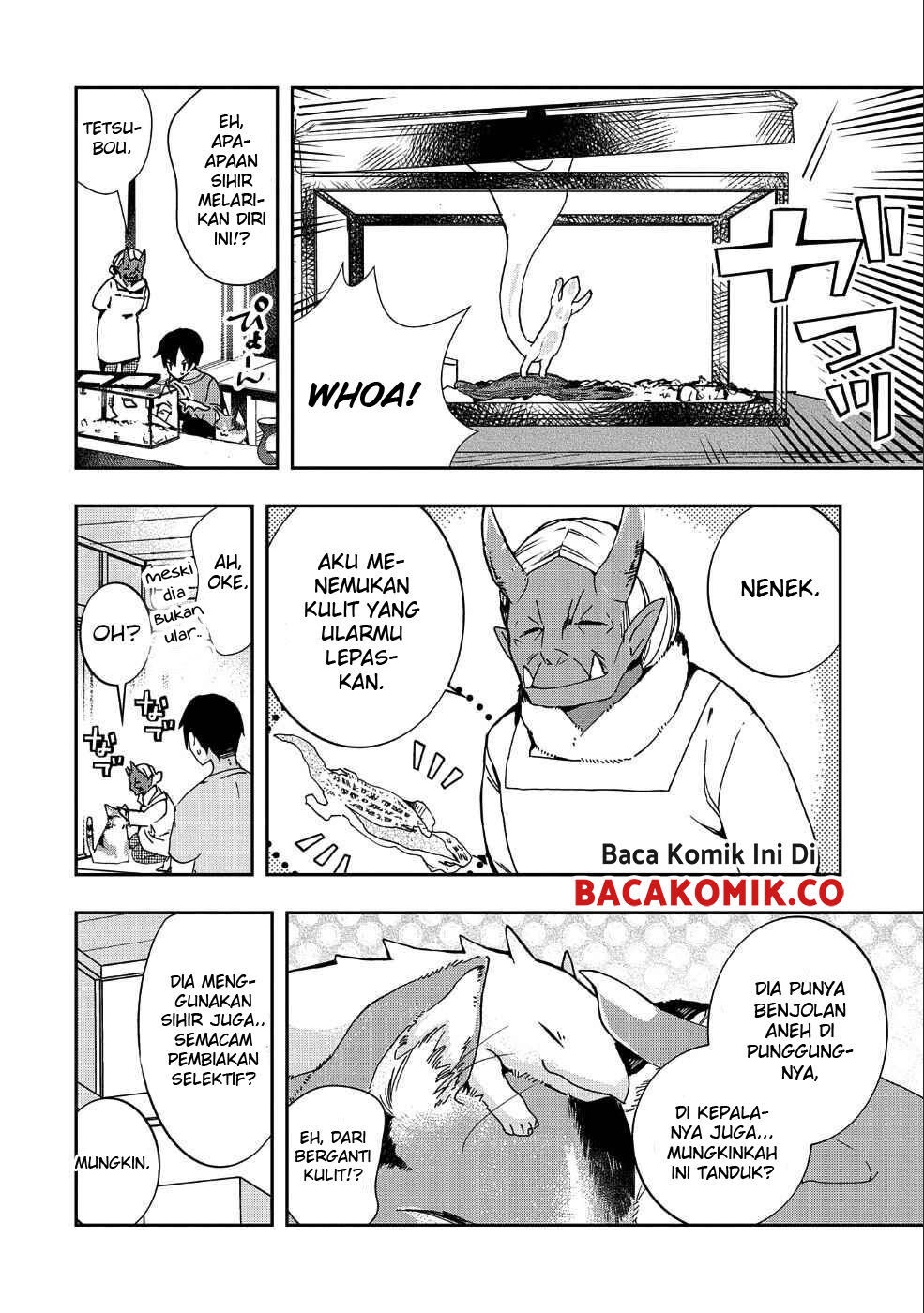 Kyuubo: Suterareteta Dragon Hirotta Chapter 1 Gambar 11