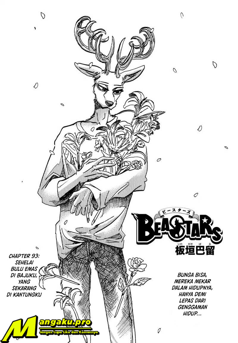 Baca Manga Beastars Chapter 93 Gambar 2