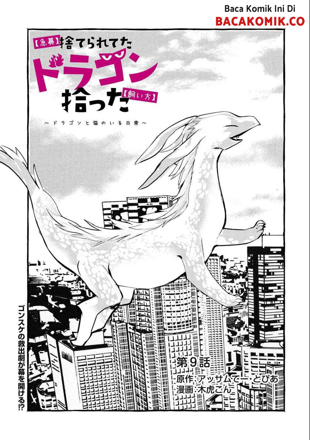 Baca Manga Kyuubo: Suterareteta Dragon Hirotta Chapter 9 Gambar 2