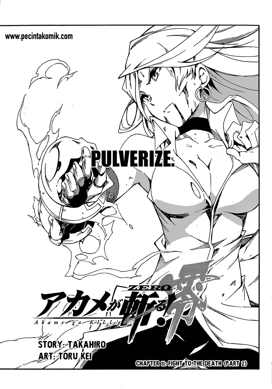 Akame ga Kill! Zero Chapter 11 Gambar 3