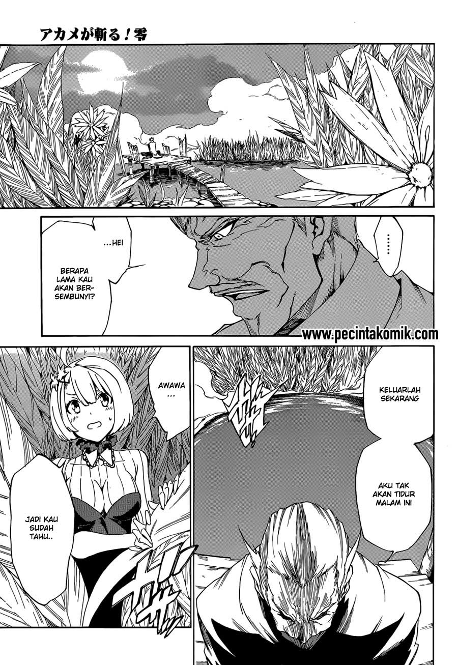 Akame ga Kill! Zero Chapter 4 Gambar 11