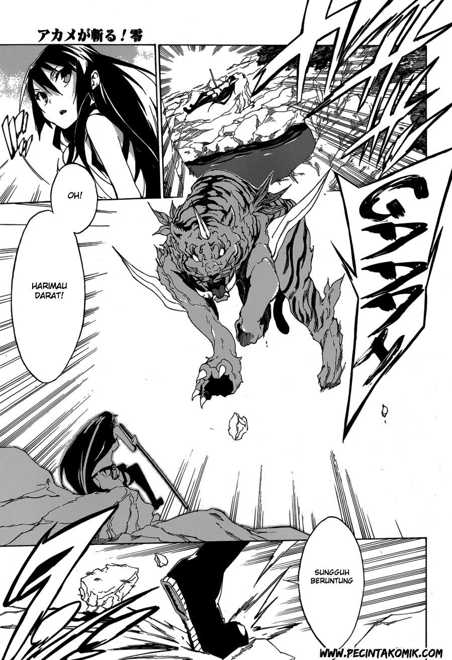 Akame ga Kill! Zero Chapter 2 Gambar 17