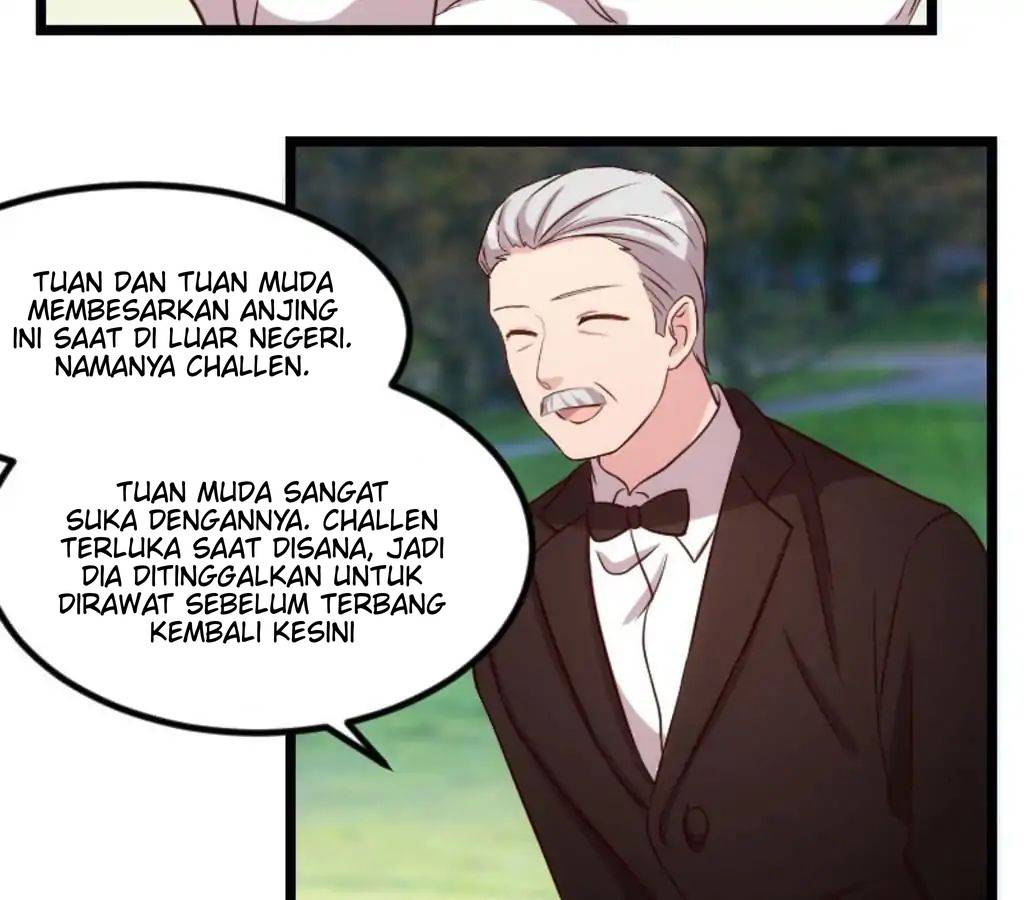 CEO’s Sudden Proposal Chapter 76 Gambar 31