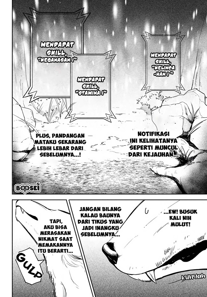 Virus Tensei kara Isekai Kansen Monogatari Chapter 2.1 Gambar 8