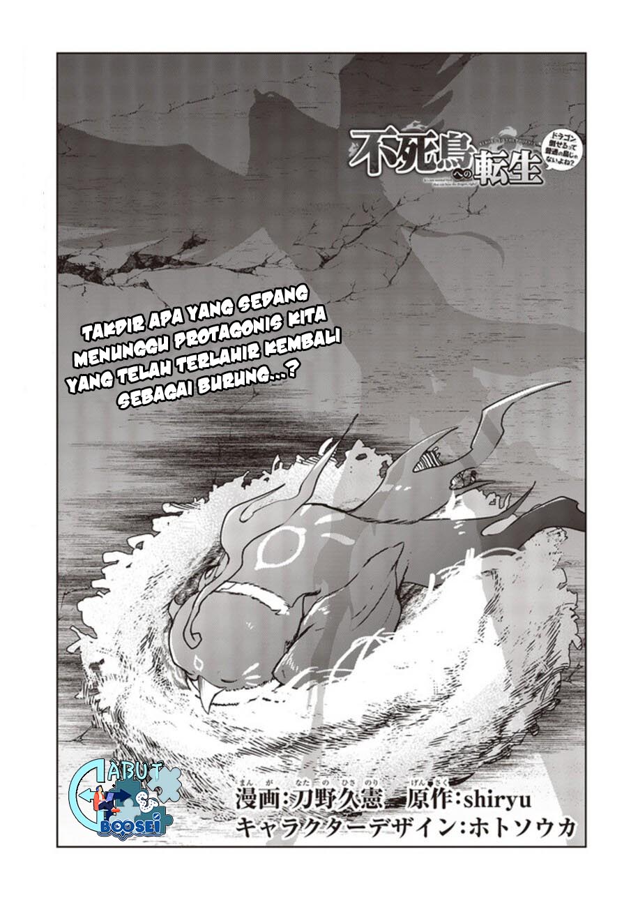 Fushichou e no Tensei: Dragon Taoseru tte Futsuu no Tori ja nai yo ne? Chapter 2 Gambar 3