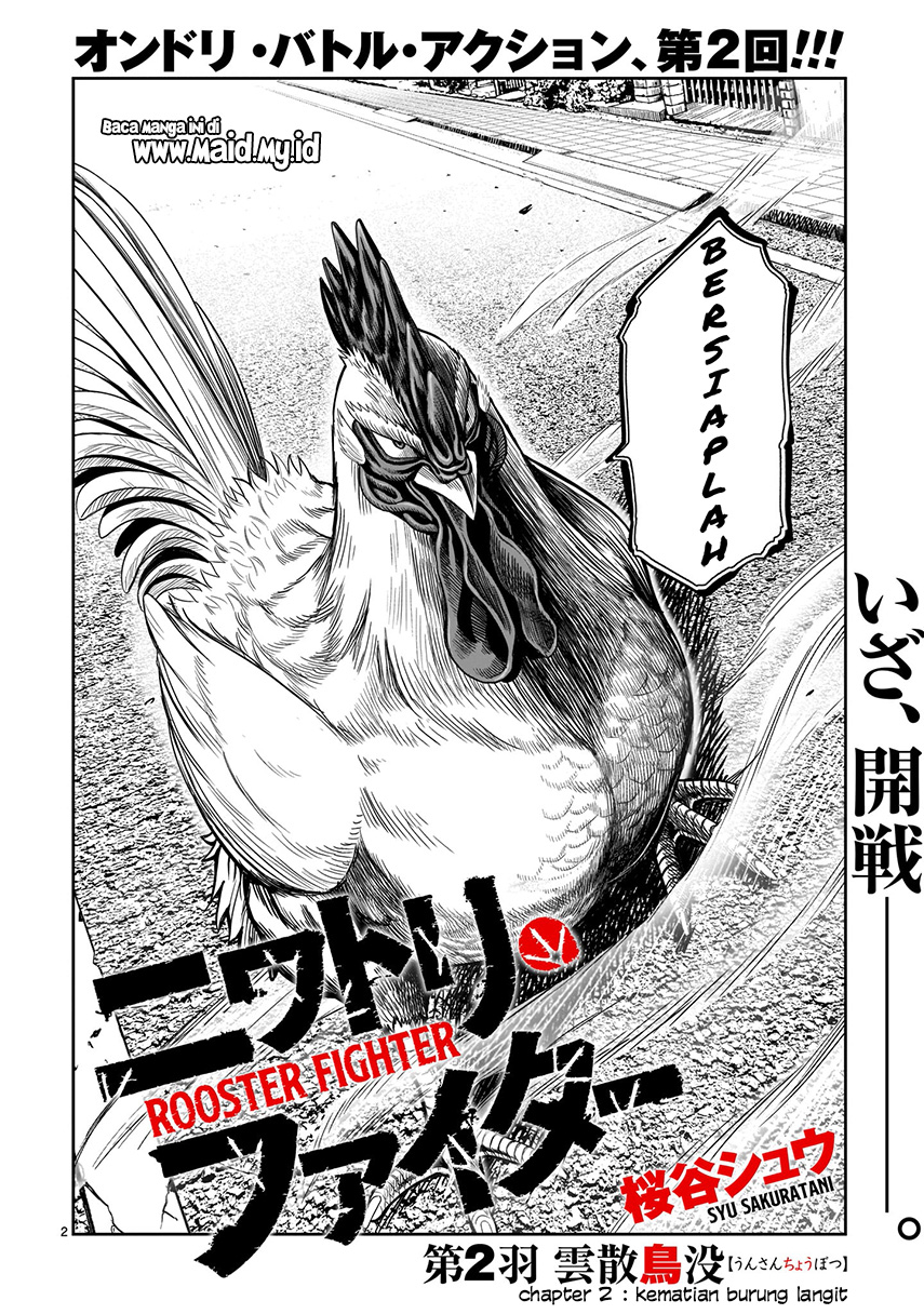 Rooster Fighter Chapter 2 Gambar 4