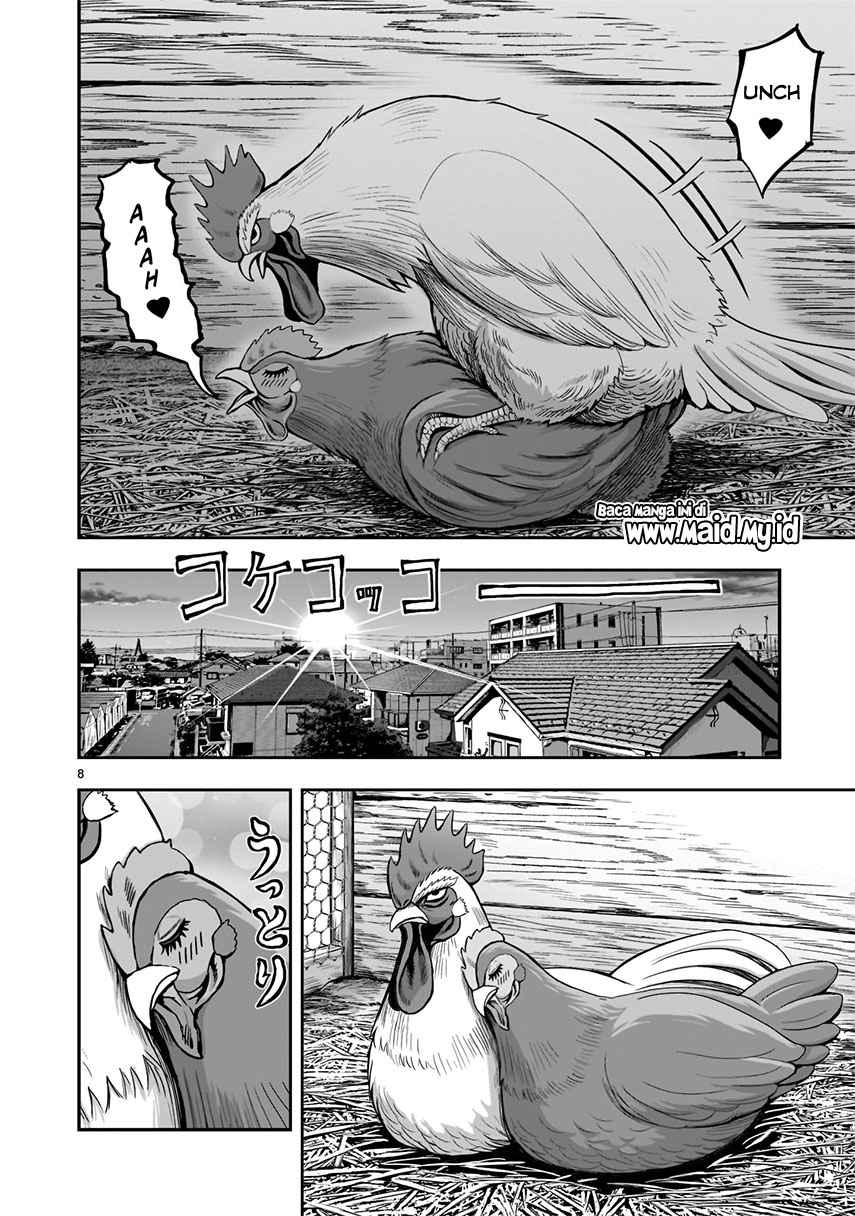 Rooster Fighter Chapter 1 Gambar 10