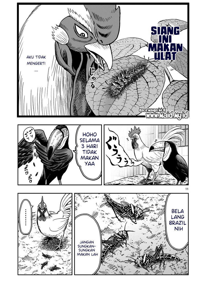 Rooster Fighter Chapter 3 Gambar 12