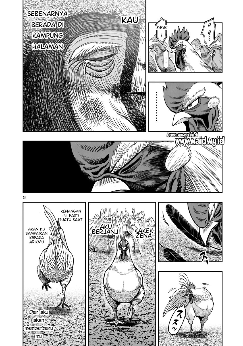 Rooster Fighter Chapter 3 Gambar 34