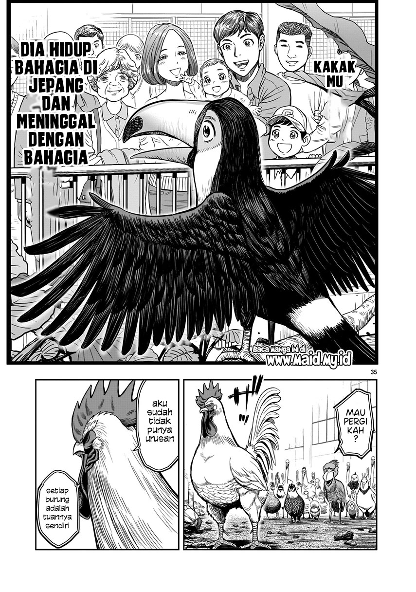 Rooster Fighter Chapter 3 Gambar 35