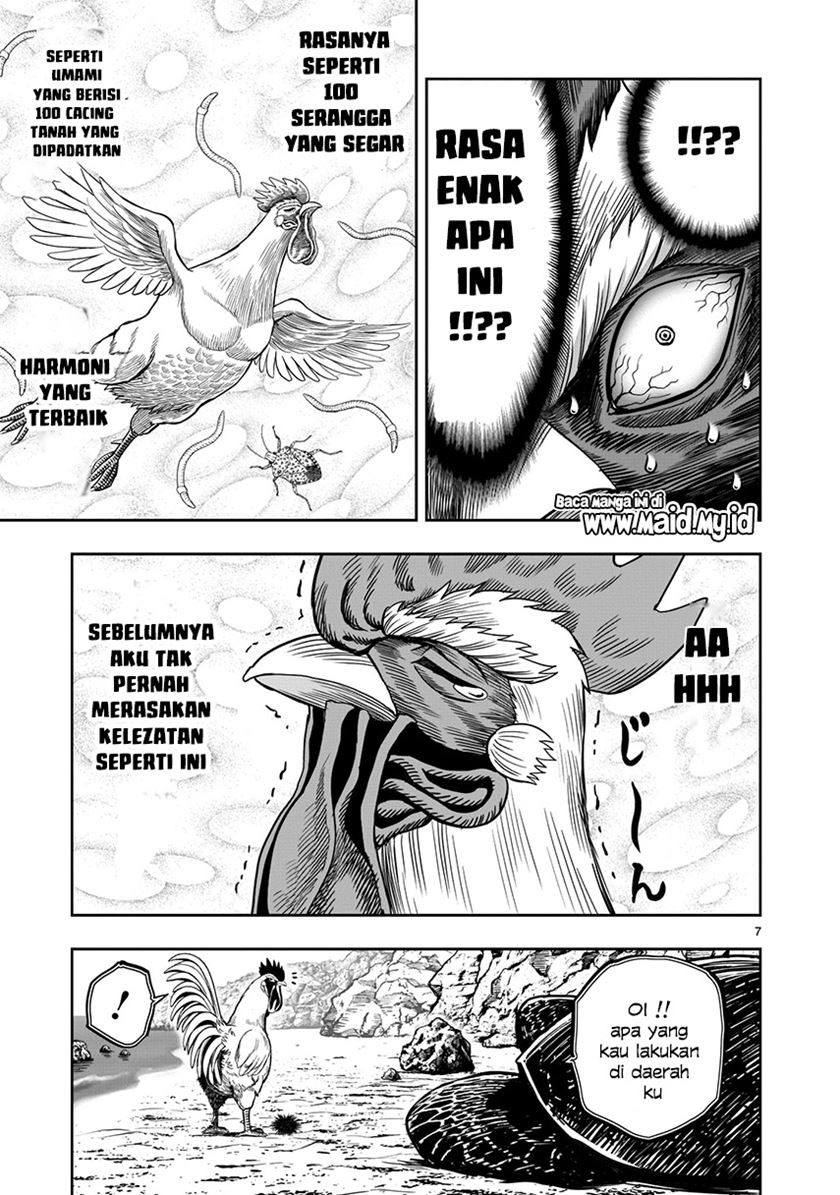 Rooster Fighter Chapter 4 Gambar 9