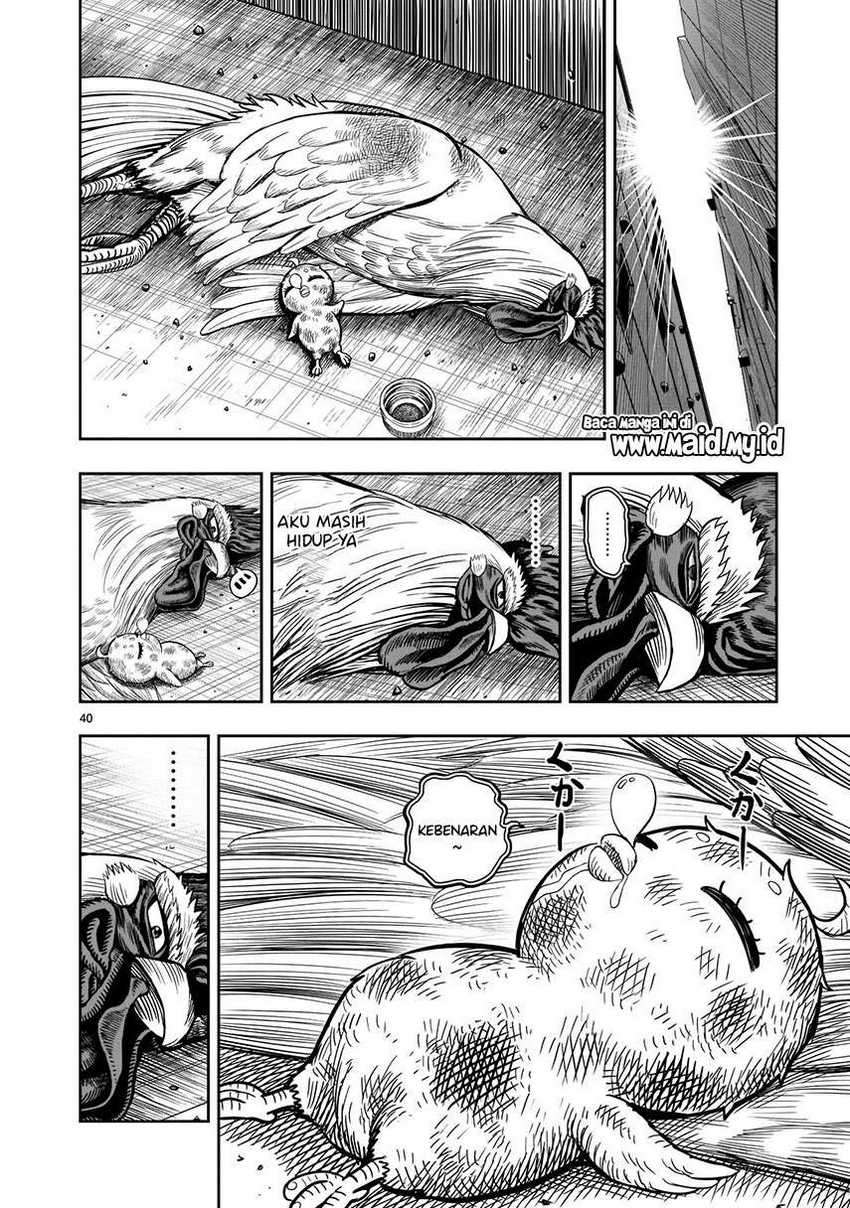 Rooster Fighter Chapter 6 Gambar 42