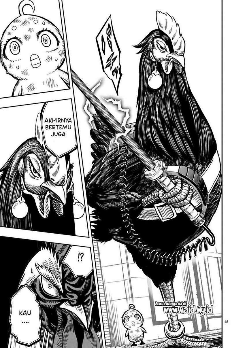 Rooster Fighter Chapter 6 Gambar 47