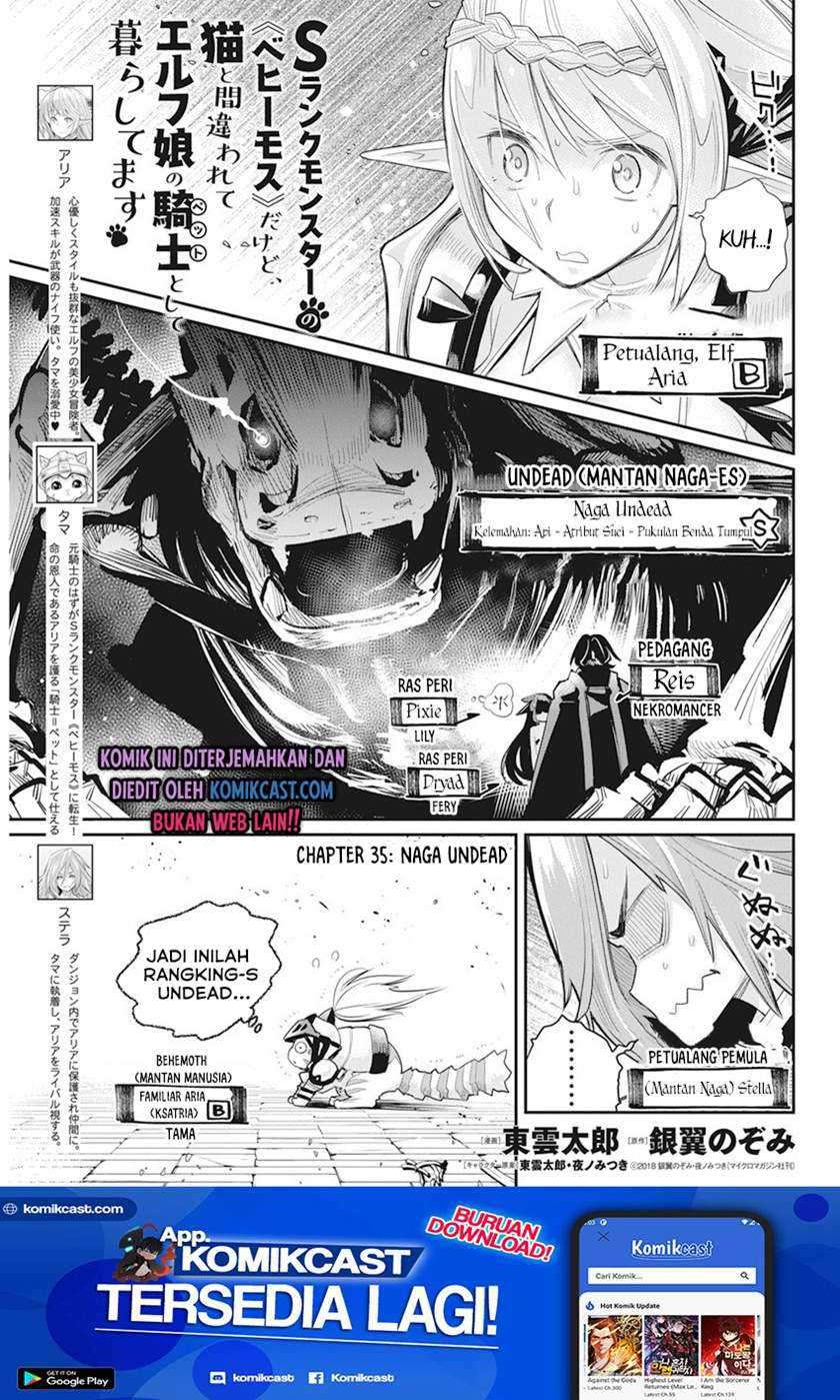 Baca Manga S-Rank Monster no Behemoth Dakedo, Neko to Machigawarete Erufu Musume no Kishi (Pet) Toshite Kurashitemasu Chapter 35 Gambar 2