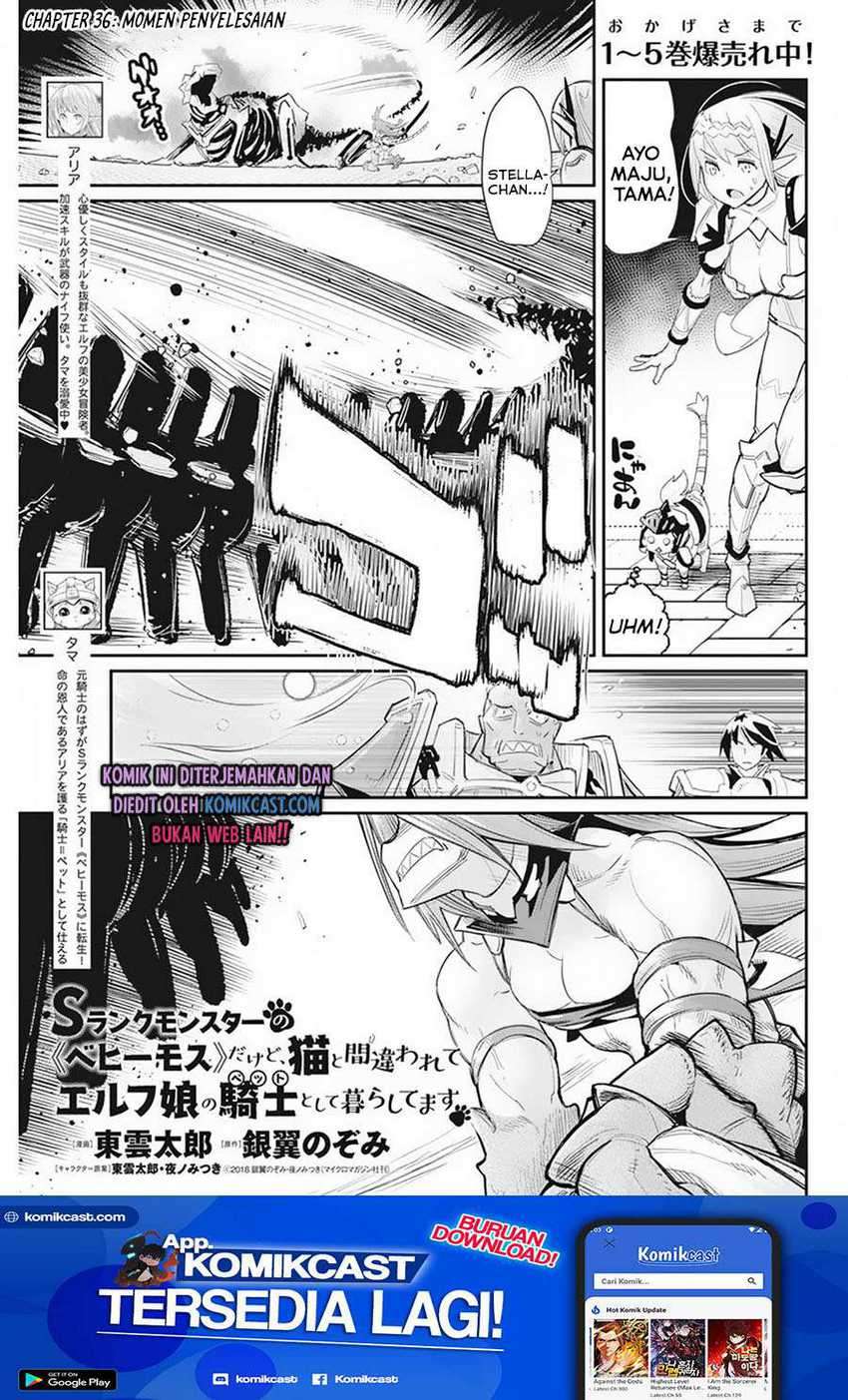 Baca Manga S-Rank Monster no Behemoth Dakedo, Neko to Machigawarete Erufu Musume no Kishi (Pet) Toshite Kurashitemasu Chapter 36 Gambar 2