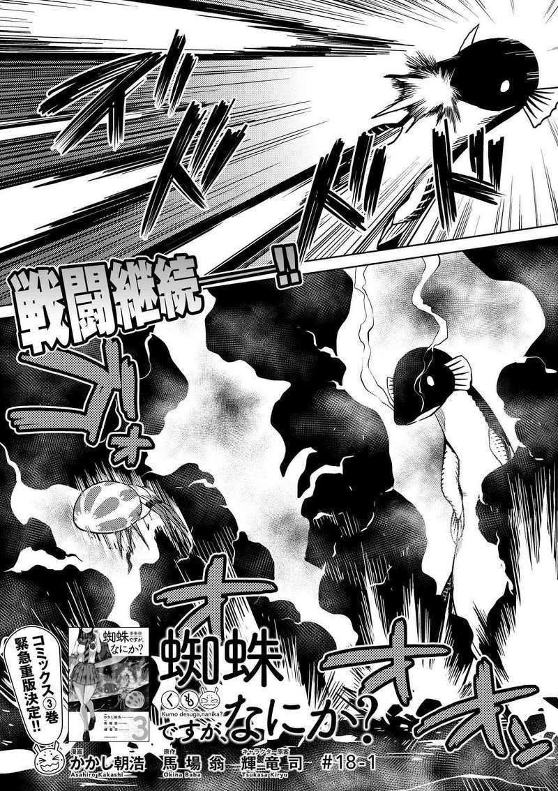 Baca Manga Kumo desu ga, Nani ka? Chapter 18.1 Gambar 2