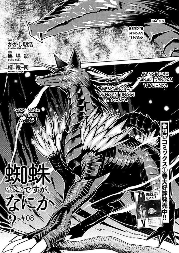 Kumo desu ga, Nani ka? Chapter 8 Gambar 4