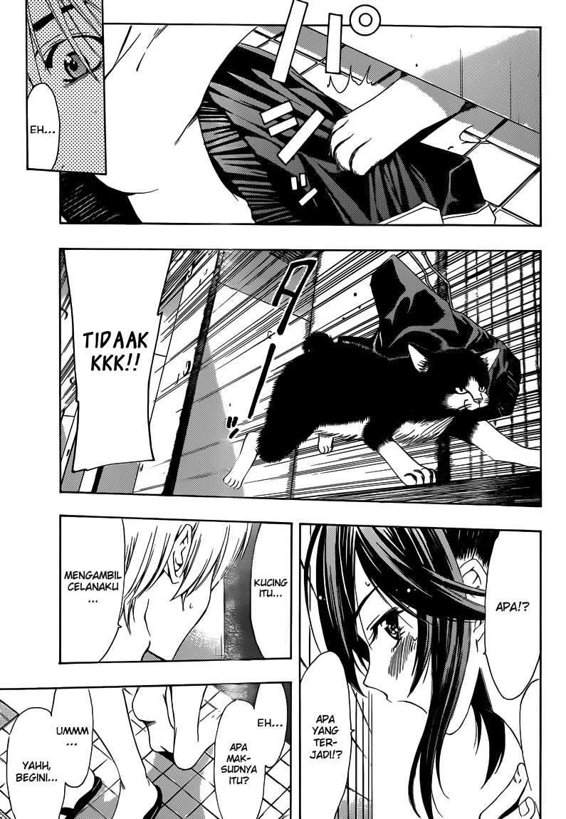 Kimi no Iru Machi Chapter 227 Gambar 16