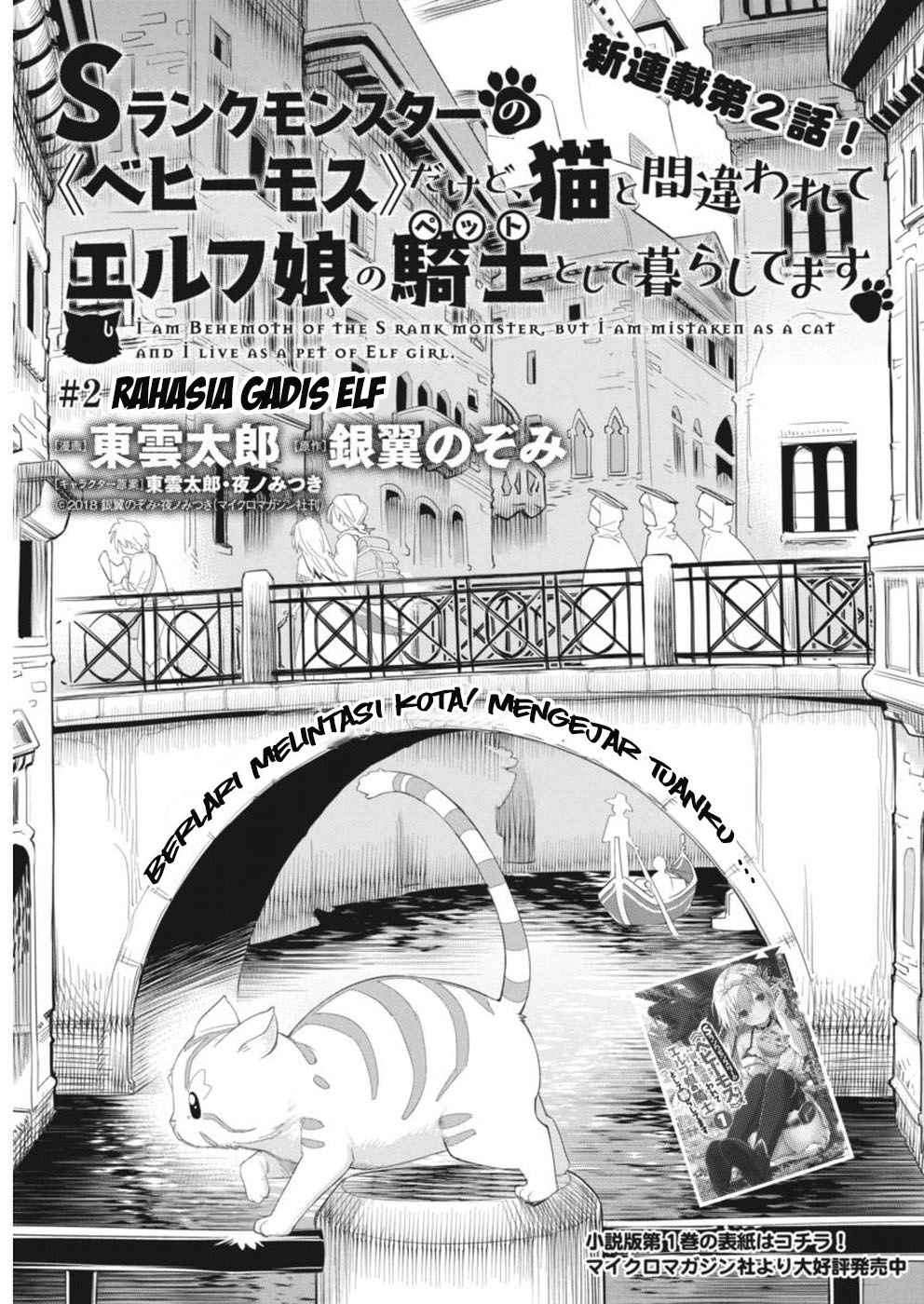 Baca Manga S-Rank Monster no Behemoth Dakedo, Neko to Machigawarete Erufu Musume no Kishi (Pet) Toshite Kurashitemasu Chapter 2 Gambar 2