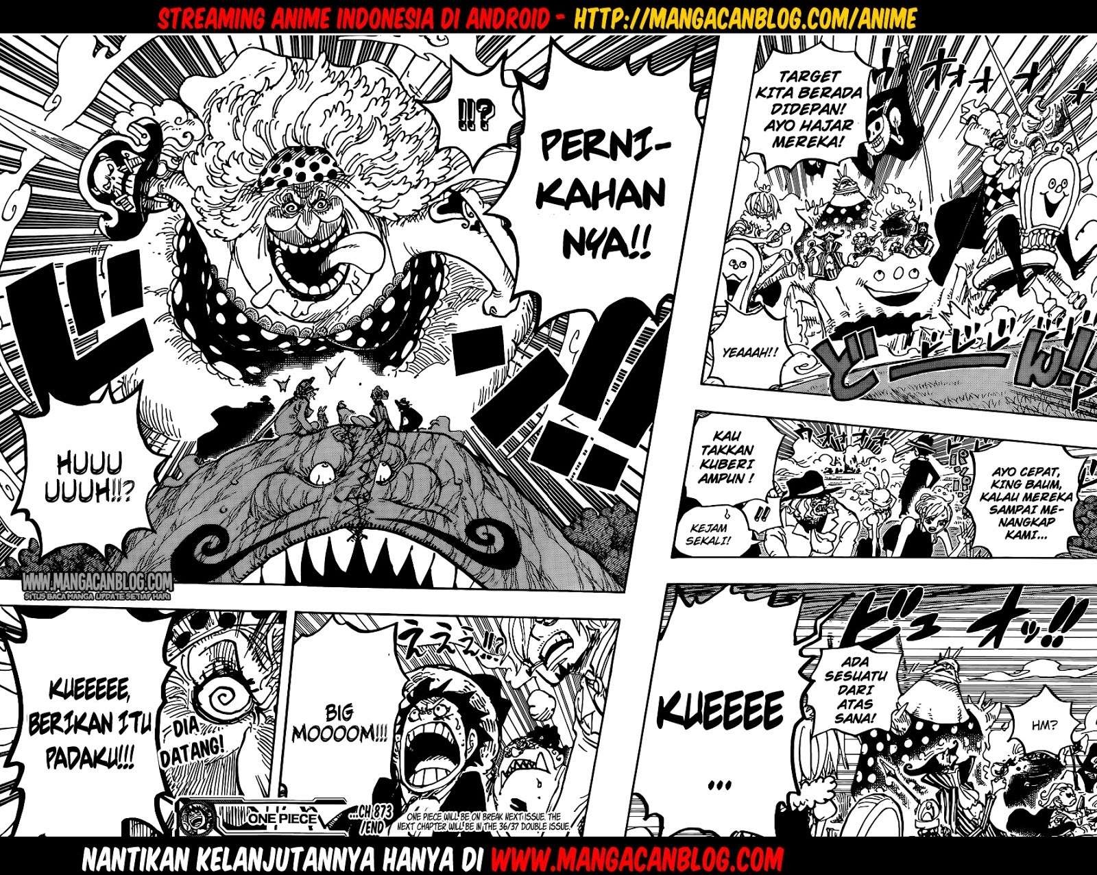 One Piece Chapter 873 Gambar 17